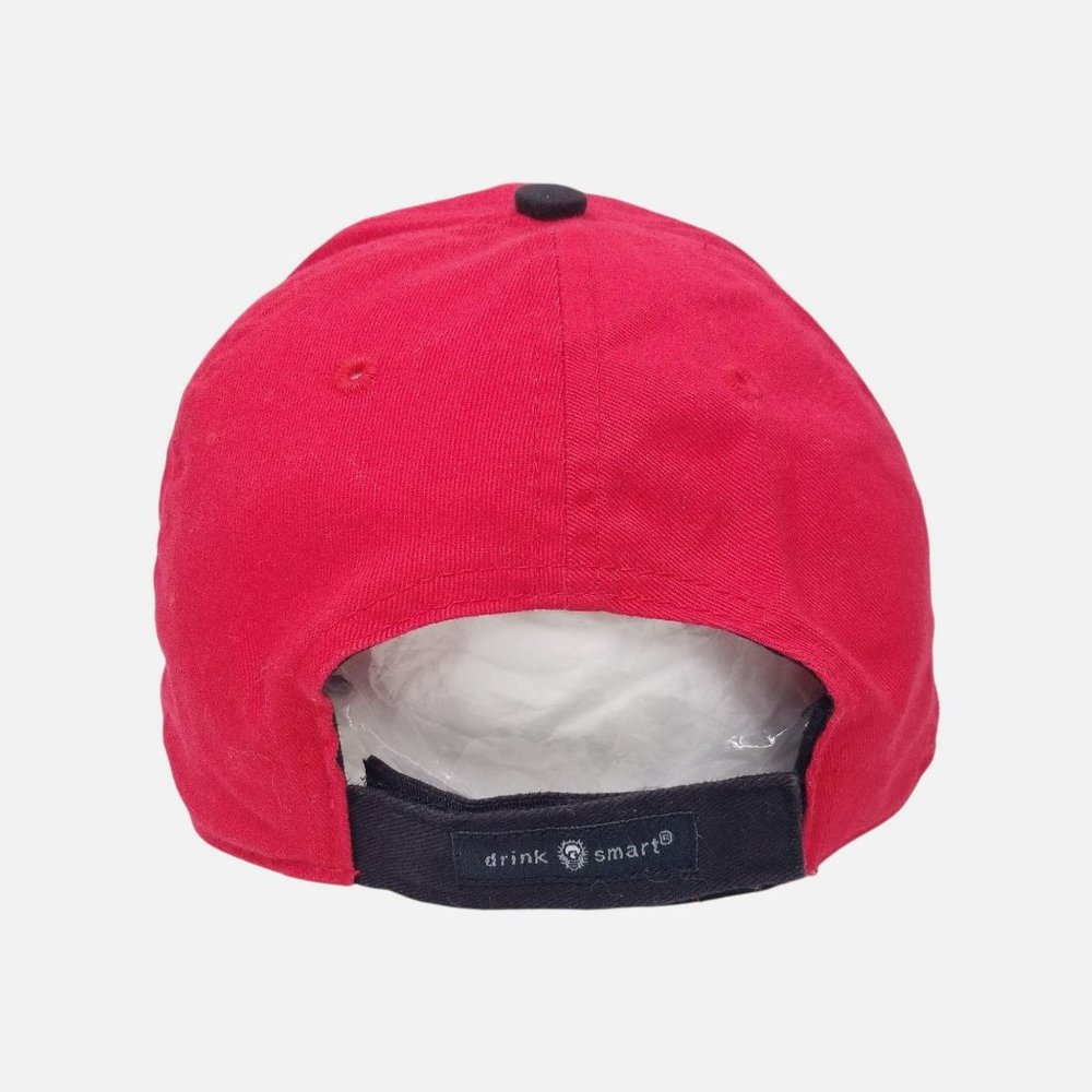 Jim Beam Racing Trucker Hat Cap Robby Gordon Motorsports NASCAR 7 Stylemaster - Picture 7 of 10